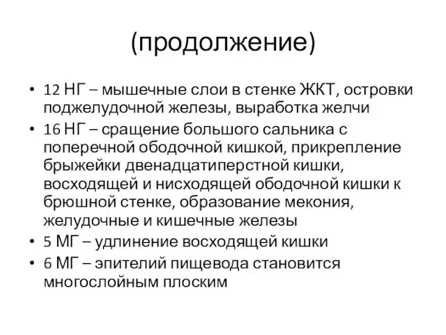 (продолжение) 12 НГ – мышечные слои в стенке ЖКТ, островки поджелудочной