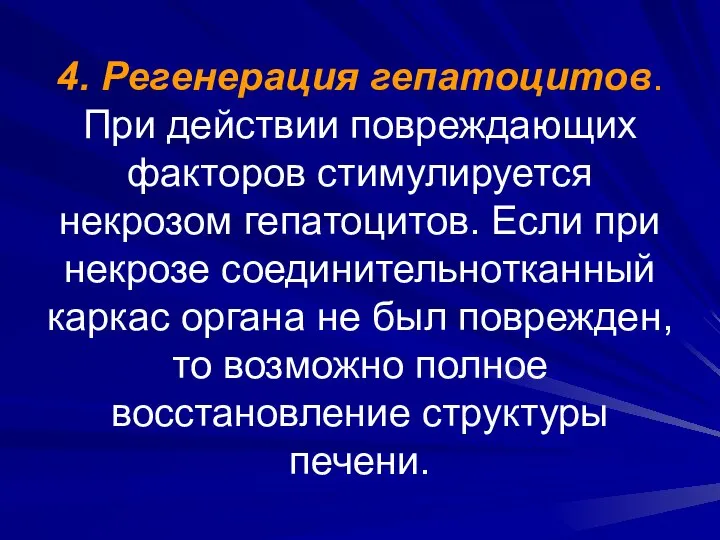 4. Регенерация гепатоцитов. При действии повреждающих факторов стимулируется некрозом гепатоцитов. Если