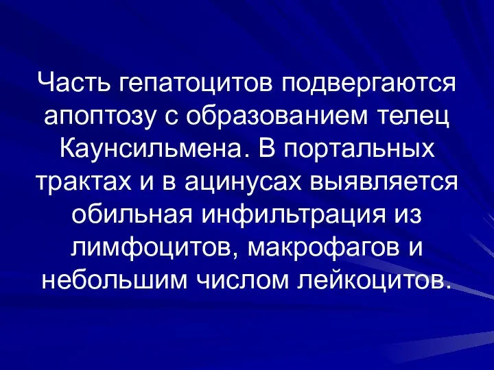 Часть гепатоцитов подвергаются апоптозу с образованием телец Каунсильмена. В портальных трактах