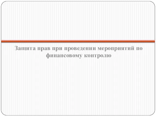 Защита прав при проведении мероприятий по финансовому контролю