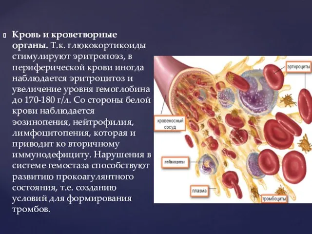 Кровь и кроветворные органы. Т.к. глюкокортикоиды стимулируют эритропоэз, в периферической крови