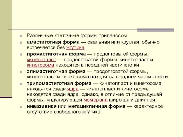 Различные клеточные формы трипаносом: амастиготная форма — овальная или круглая, обычно