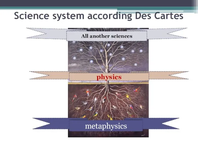 Science system according Des Cartes metaphysics physics All another sciences