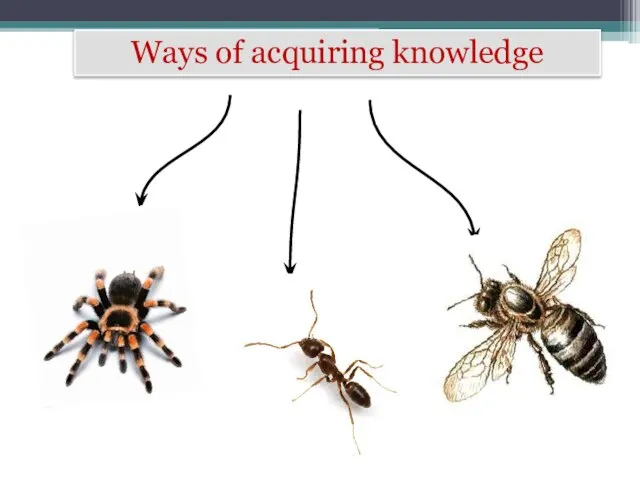 Ways of acquiring knowledge