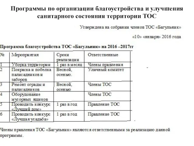 Программы по организации благоустройства и улучшения санитарного состояния территории ТОС