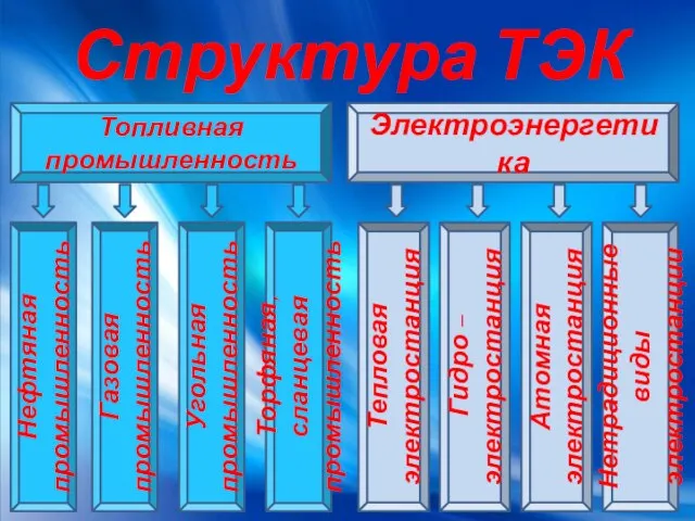 Структура ТЭК Топливная промышленность Электроэнергетика Нефтяная промышленность Газовая промышленность Торфяная, сланцевая