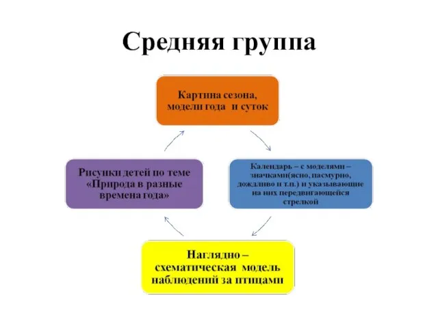 Средняя группа