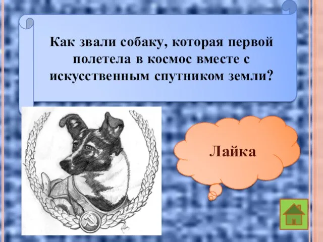 Как звали собаку, которая первой полетела в космос вместе с искусственным спутником земли? Лайка