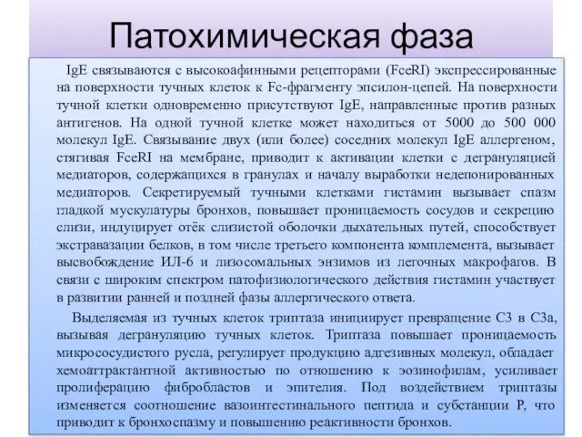 Патохимическая фаза IgE связываются с высокоафинными рецепторами (FceRI) экспрессированные на поверхности