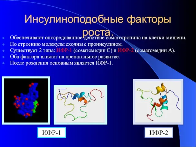 Инсулиноподобные факторы роста. Обеспечивают опосредованное действие соматотропина на клетки-мишени. По строению