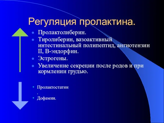 Регуляция пролактина. Пролактолиберин. Тиролиберин, вазоактивный интестинальный полипептид, ангиотензин II, B-эндорфин. Эстрогены.