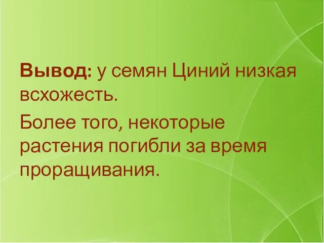 Вывод: у семян Циний низкая всхожесть. Более того, некоторые растения погибли за время проращивания.