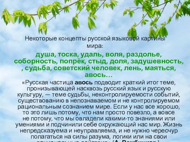 Некоторые концепты русской языковой картины мира: душа, тоска, удаль, воля, раздолье,