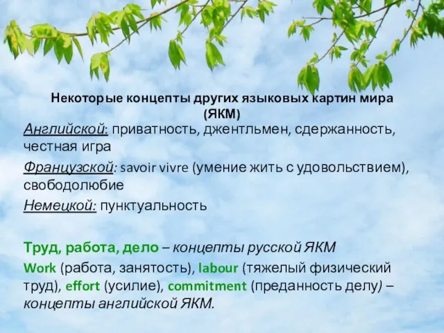 Некоторые концепты других языковых картин мира (ЯКМ) Английской: приватность, джентльмен, сдержанность,