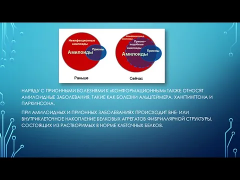 НАРЯДУ С ПРИОННЫМИ БОЛЕЗНЯМИ К «КОНФОРМАЦИОННЫМ» ТАКЖЕ ОТНОСЯТ АМИЛОИДНЫЕ ЗАБОЛЕВАНИЯ, ТАКИЕ