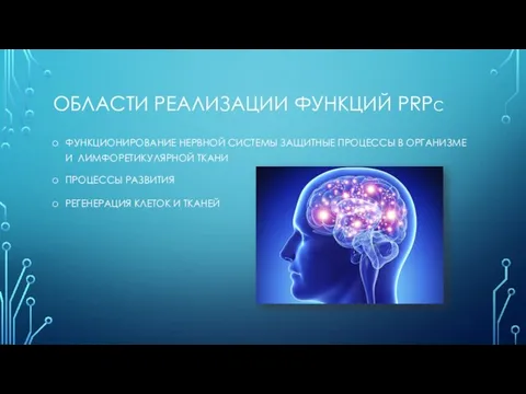 ОБЛАСТИ РЕАЛИЗАЦИИ ФУНКЦИЙ PRPC ФУНКЦИОНИРОВАНИЕ НЕРВНОЙ СИСТЕМЫ ЗАЩИТНЫЕ ПРОЦЕССЫ В ОРГАНИЗМЕ