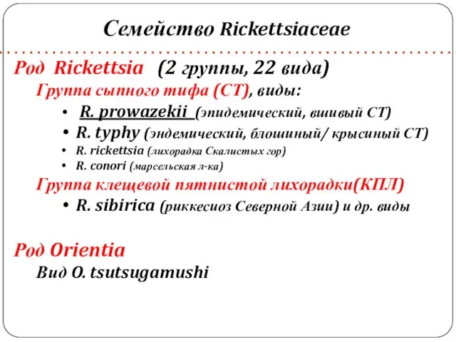 Семейство Rickettsiaceae Род Rickettsia (2 группы, 22 вида) Группа сыпного тифа