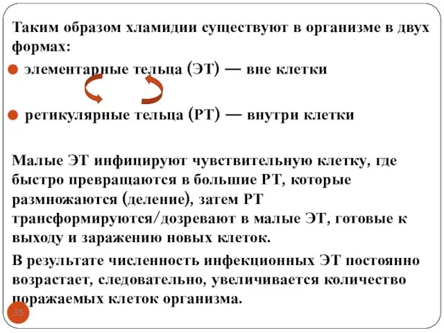 Таким образом хламидии существуют в организме в двух формах: элементарные тельца