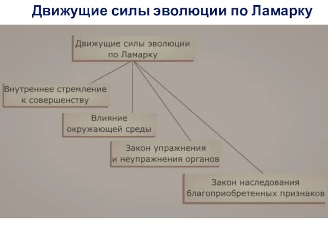 Движущие силы эволюции по Ламарку