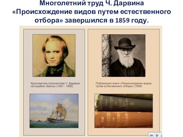 Многолетний труд Ч. Дарвина «Происхождение видов путем естественного отбора» завершился в 1859 году.