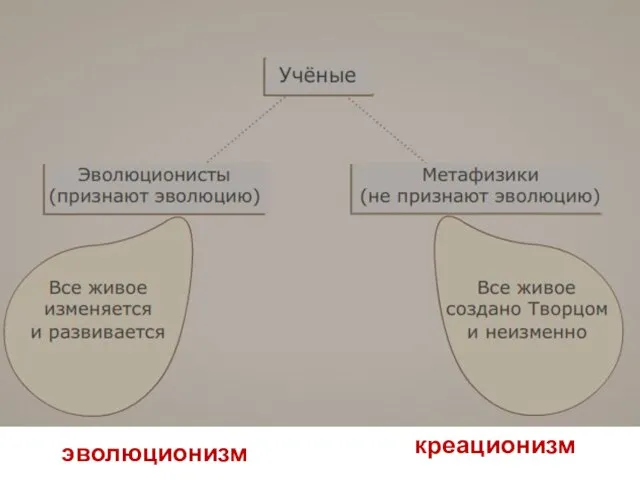 креационизм эволюционизм