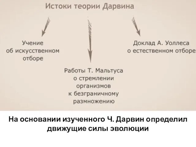 На основании изученного Ч. Дарвин определил движущие силы эволюции