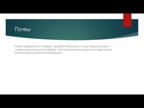 Почвы Почвы торфянисто-глеевые, торфяно-болотные, а под редколесьями — глеево-подзолистые (подбуры). За