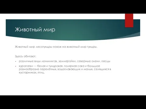 Животный мир Животный мир лесотундры похож на животный мир тундры. Здесь