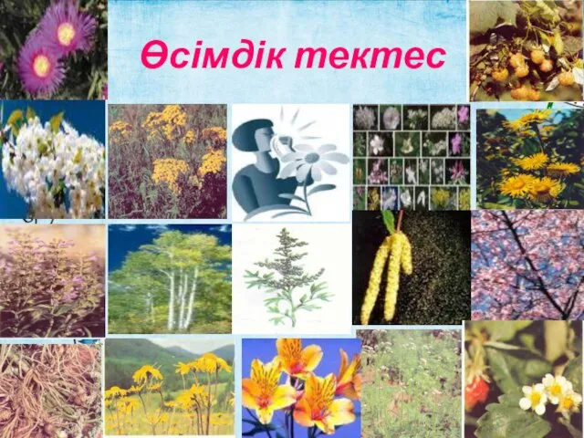 Өсімдік тектес