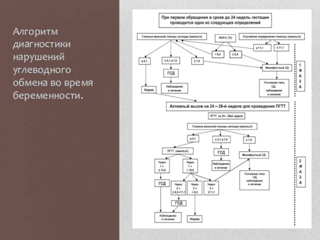 Алгоритм диагностики нарушений углеводного обмена во время беременности.