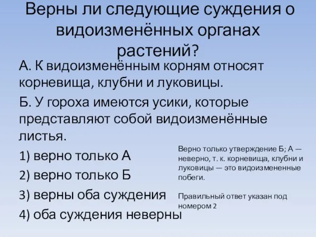 Верны ли сле­ду­ю­щие суждения о видоизменённых ор­га­нах растений? А. К видоизменённым