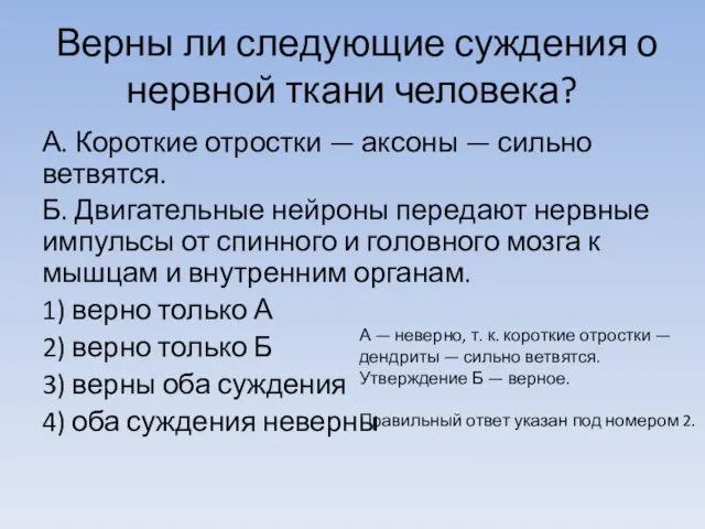 Верны ли сле­ду­ю­щие суждения о нерв­ной ткани человека? А. Ко­рот­кие отростки