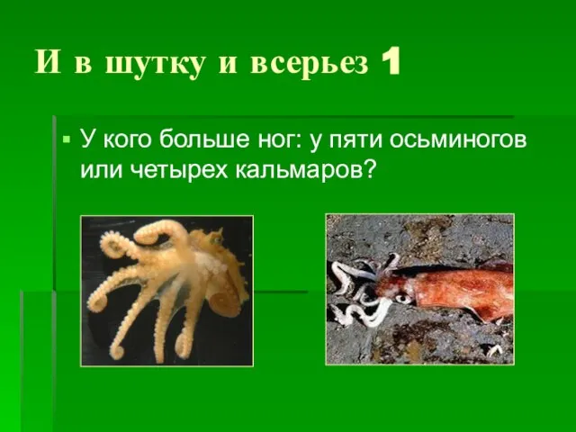 И в шутку и всерьез 1 У кого больше ног: у пяти осьминогов или четырех кальмаров?