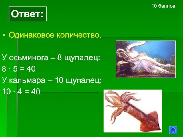 Ответ: Одинаковое количество. У осьминога – 8 щупалец: 8 ∙ 5