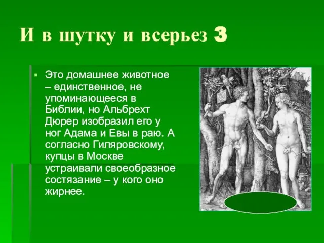 И в шутку и всерьез 3 Это домашнее животное – единственное,