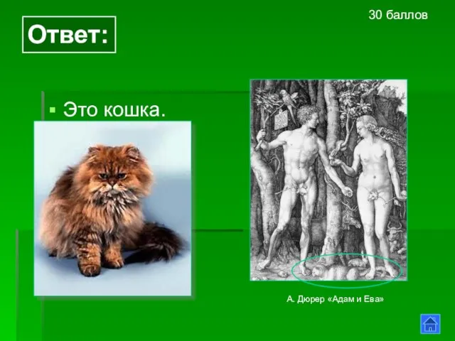 Ответ: Это кошка. 30 баллов А. Дюрер «Адам и Ева»