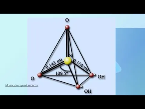 Молекула серной кислоты