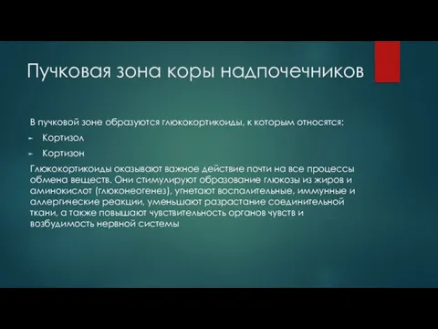 Пучковая зона коры надпочечников В пучковой зоне образуются глюкокортикоиды, к которым