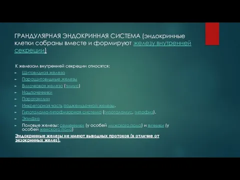 ГРАНДУЛЯРНАЯ ЭНДОКРИННАЯ СИСТЕМА (эндокринные клетки собраны вместе и формируют железу внутренней