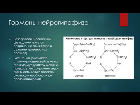 Гормоны нейрогипофиза Вазопрессин (основными функциями является сохранение воды в теле и