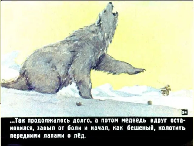 Как вел себя медведь дальше? «Медведь царапал себя когтями, прыгал по