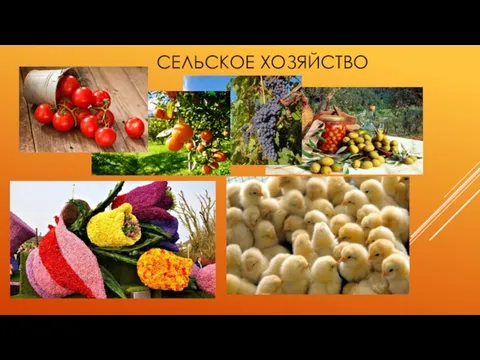 СЕЛЬСКОЕ ХОЗЯЙСТВО