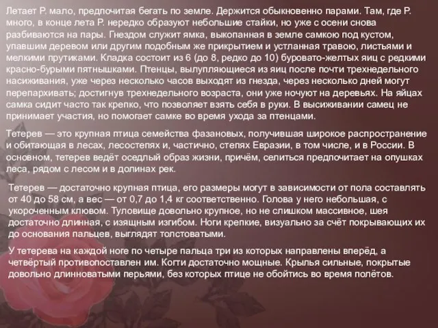 Летает Р. мало, предпочитая бегать по земле. Держится обыкновенно парами. Там,