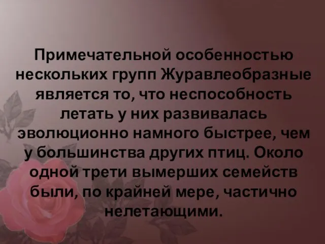 Примечательной особенностью нескольких групп Журавлеобразные является то, что неспособность летать у