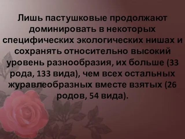 Лишь пастушковые продолжают доминировать в некоторых специфических экологических нишах и сохранять