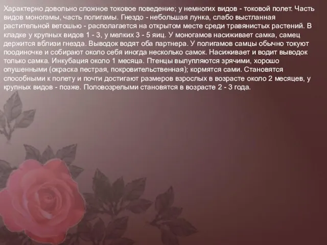 Характерно довольно сложное токовое поведение; у немногих видов - токовой полет.