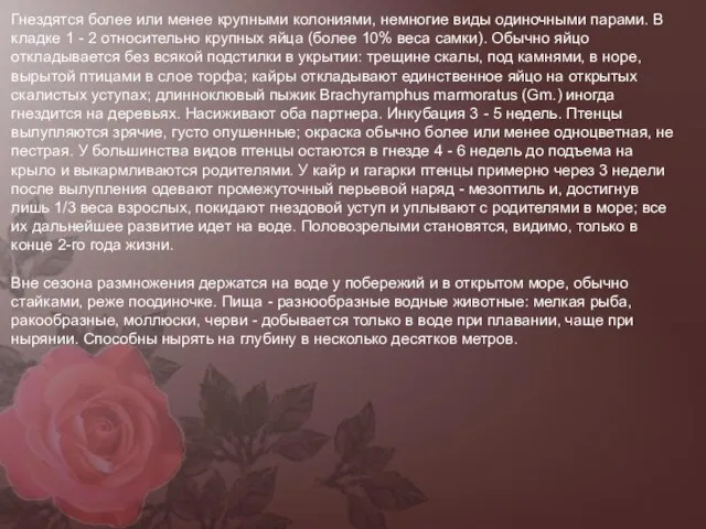 Гнездятся более или менее крупными колониями, немногие виды одиночными парами. В