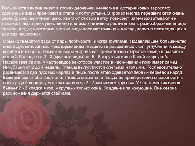 Большинство видов живет в кронах деревьев, немногие в кустарниковых зарослях; одиночные