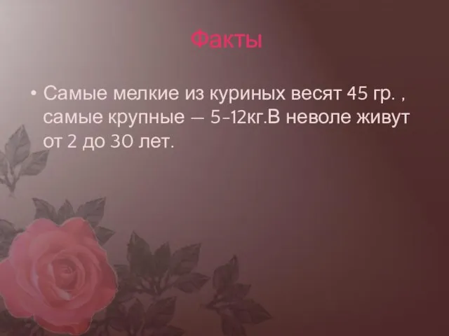 Самые мелкие из куриных весят 45 гр. ,самые крупные — 5-12кг.В