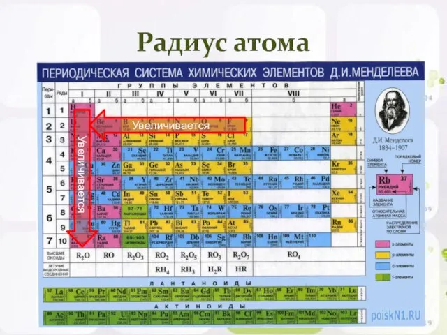 Радиус атома Увеличивается Увеличивается